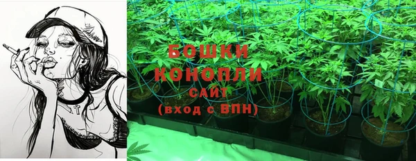 винт Липки
