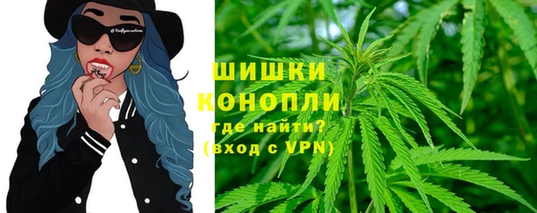 винт Липки