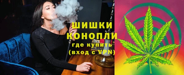 винт Липки