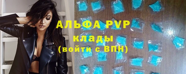 винт Липки