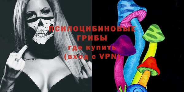 СК Покров
