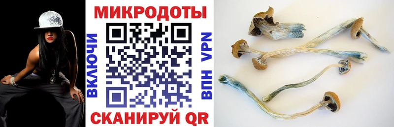 Псилоцибиновые грибы ЛСД  Шахты 